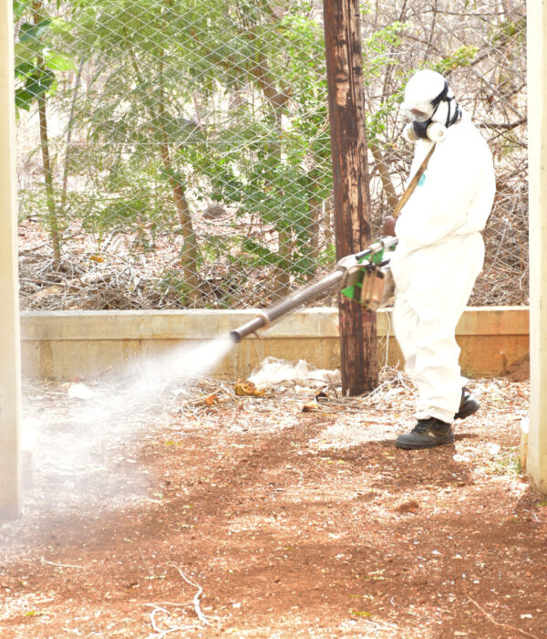 Fogging treatment against mosquitoes side